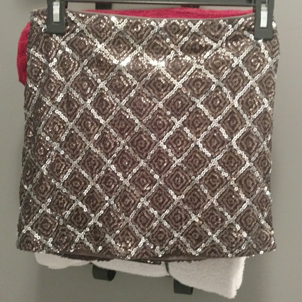 Beautiful Sequin Mini Skirt